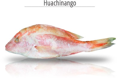 Huachinango Mariscos Campos